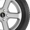 шина Falken EuroWinter HS449