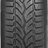 шина General Altimax Winter Plus