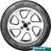 шина Goodyear EfficientGrip Performance