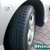 шина Petlas SnowMaster W651